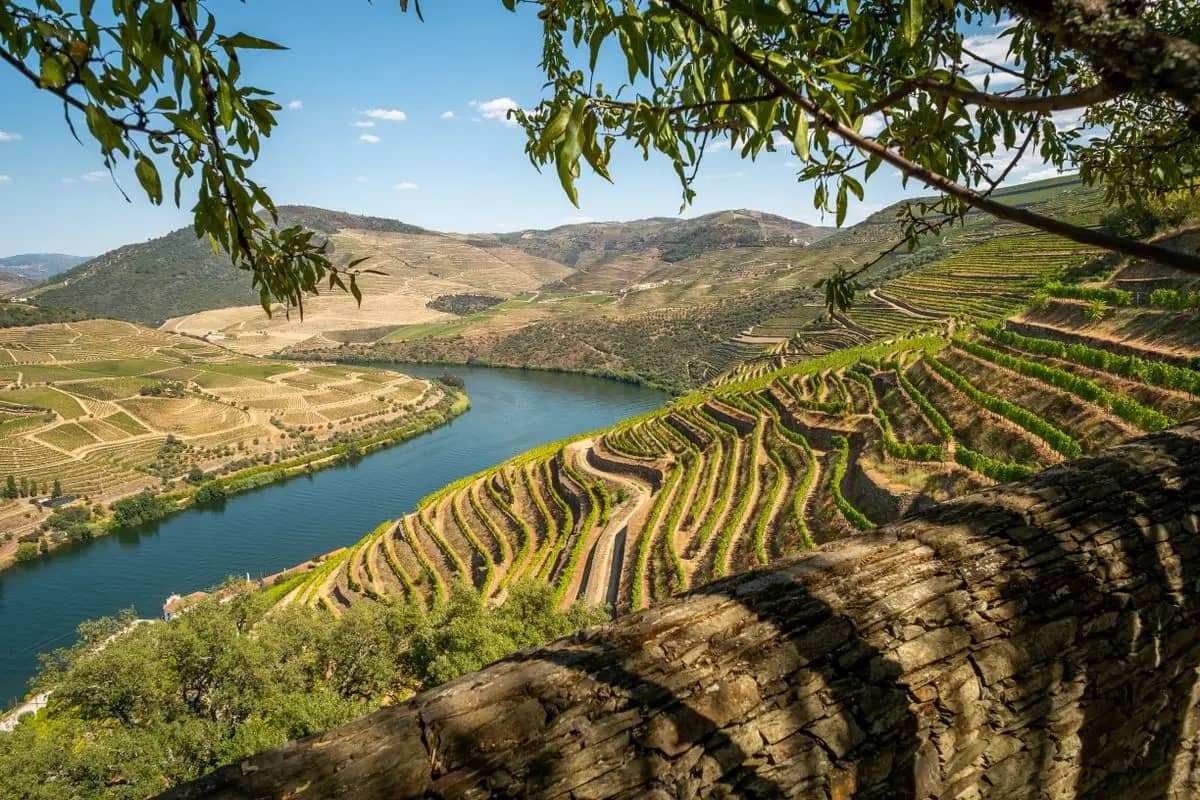 Turismo de Portugal